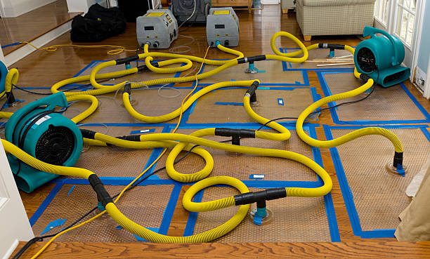 Professional Sewage Cleanup technician working in Lexington, NC